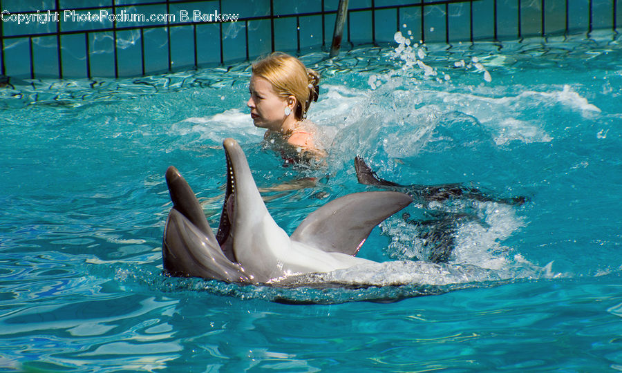 People, Person, Human, Animal, Dolphin, Fish, Sea Life