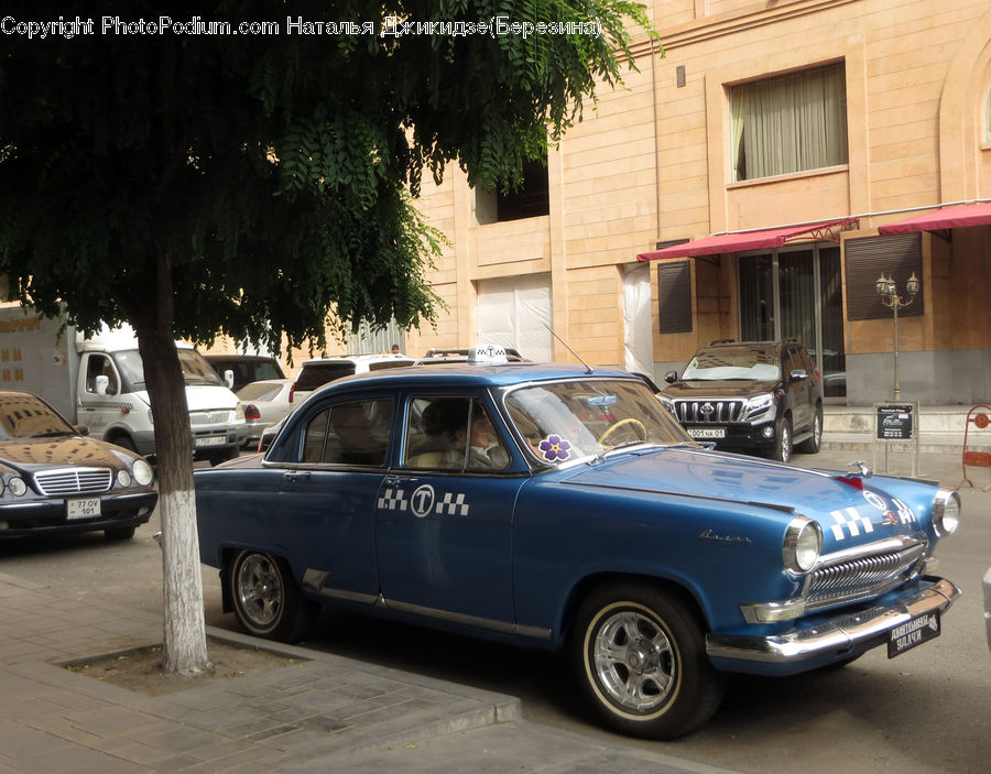 Automobile, Car, Vehicle, Coupe, Sports Car, Suv, Parking