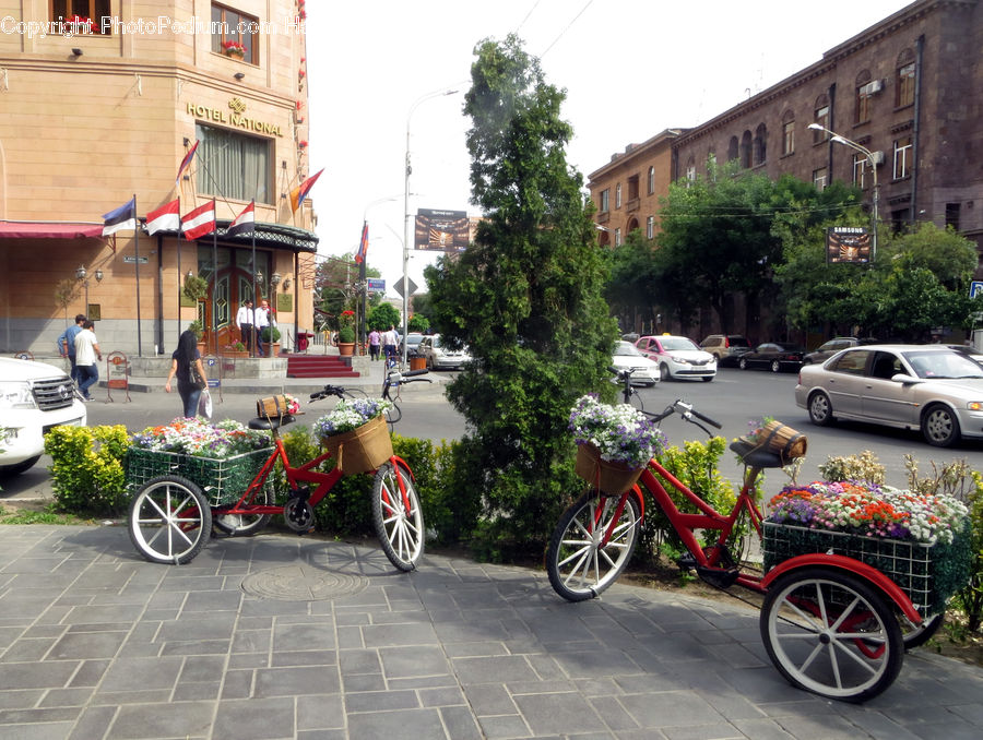 Carriage, Horse Cart, Vehicle, Antique Car, Car, Model T, Automobile