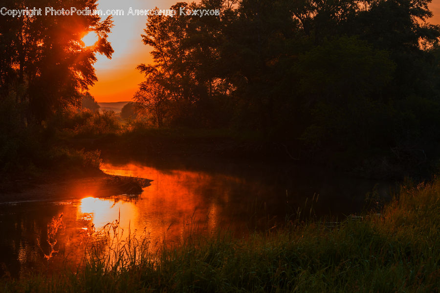 Dawn, Dusk, Sky, Sunrise, Sunset, Land, Marsh