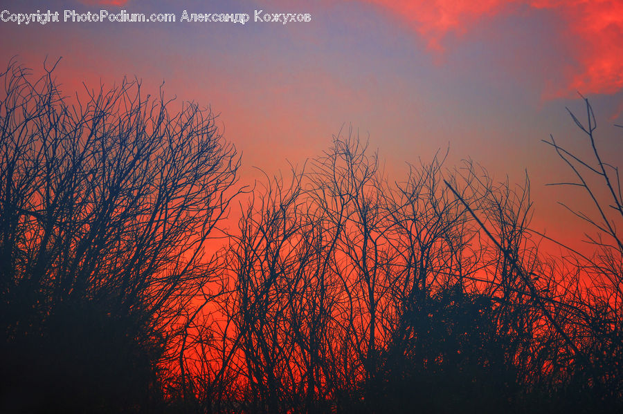 Dawn, Dusk, Red Sky, Sky, Sunrise, Sunset, Outdoors