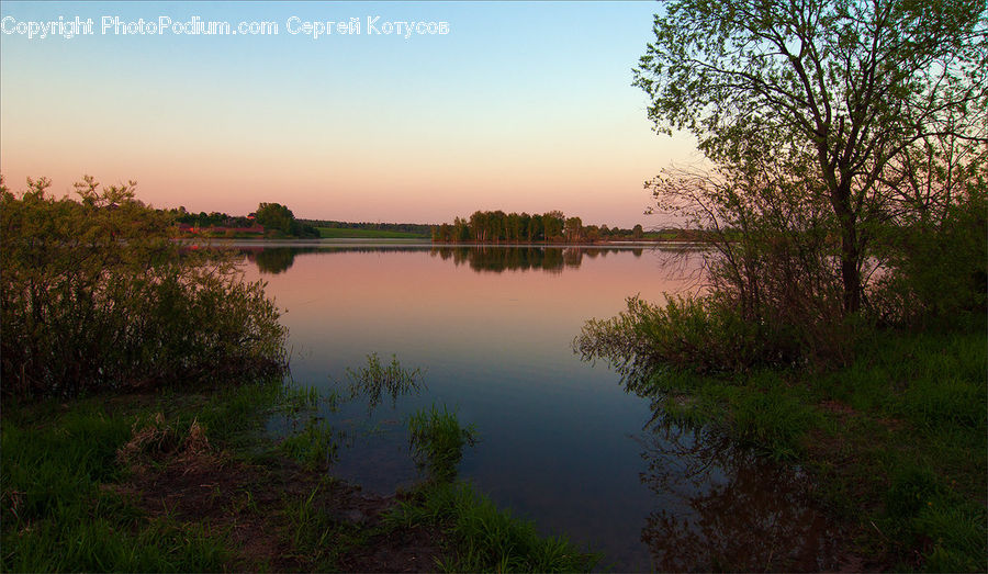 Land, Marsh, Outdoors, Swamp, Water, Canal, River