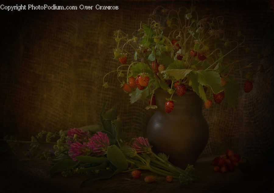 Plant, Potted Plant, Fruit, Strawberry, Floral Design, Flower, Flower Arrangement