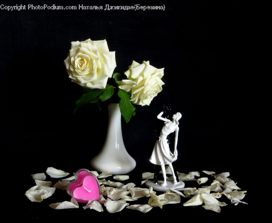 Accessories, Jar, Porcelain, Vase, Flower, Flower Arrangement, Flower Bouquet