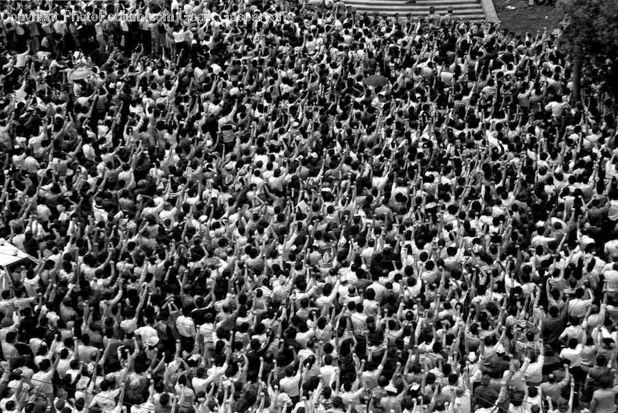 Crowd, Parade, Carnival, Festival