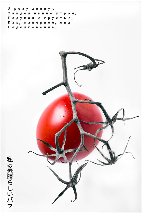 Brochure, Flyer, Paper, Poster, Produce, Tomato, Vegetable