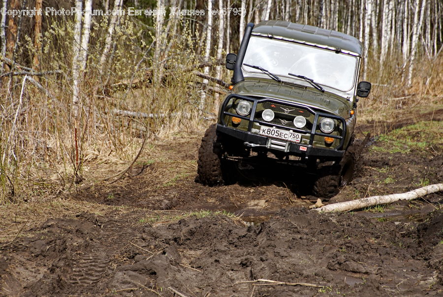 Car, Offroad, Dirt Road, Gravel, Road, Jeep, Vehicle