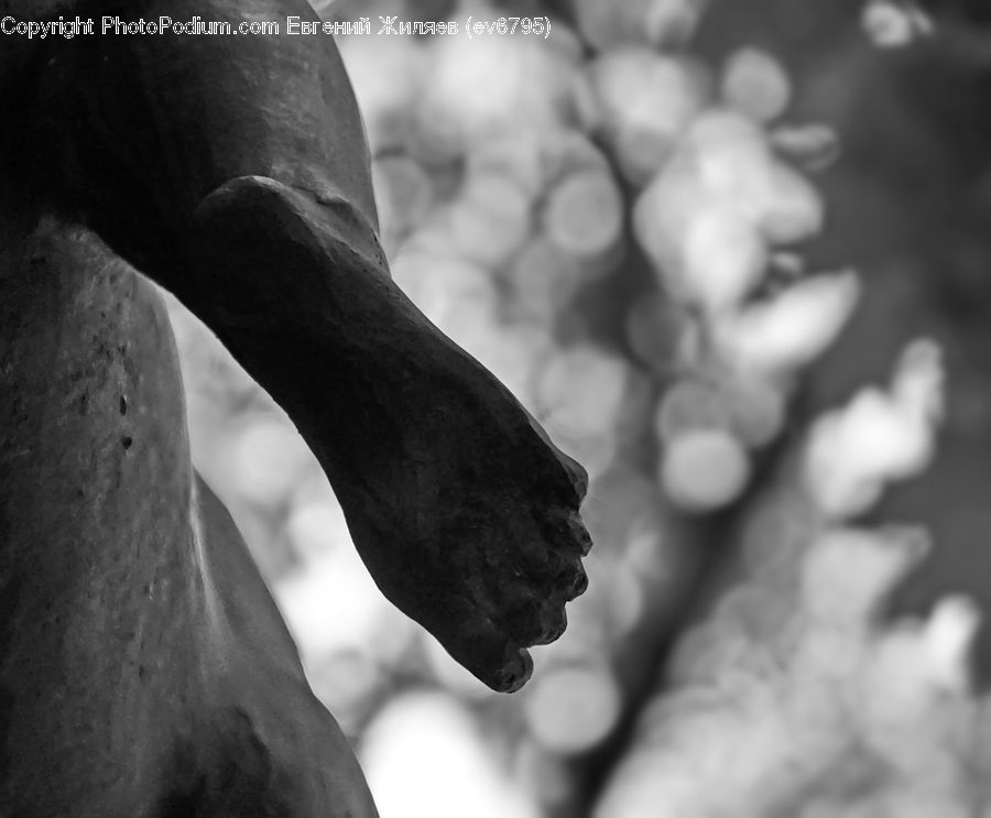 Art, Sculpture, Statue, Blossom, Flora, Flower, Plant