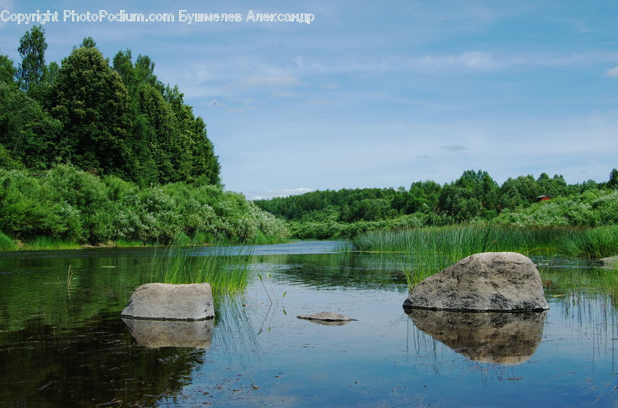 Outdoors, Pond, Water, Land, Marsh, Swamp, Landscape