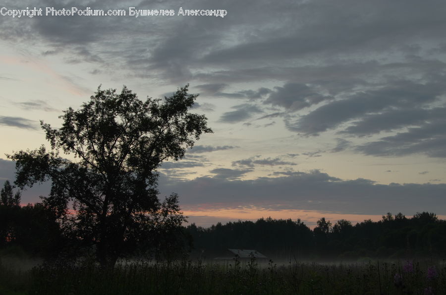 Dawn, Dusk, Red Sky, Sky, Sunrise, Sunset, Landscape