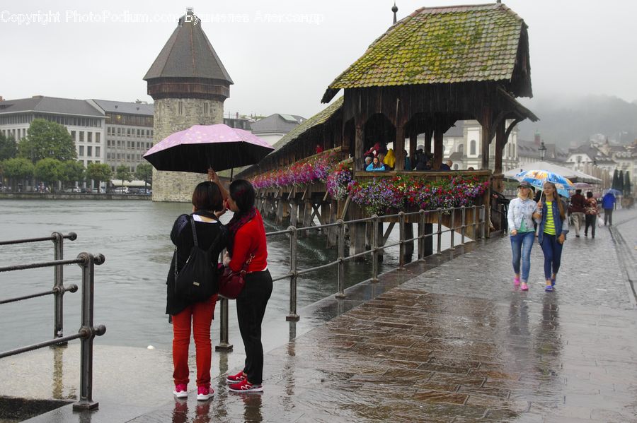 Human, People, Person, Railing, Flood, Gazebo, Umbrella