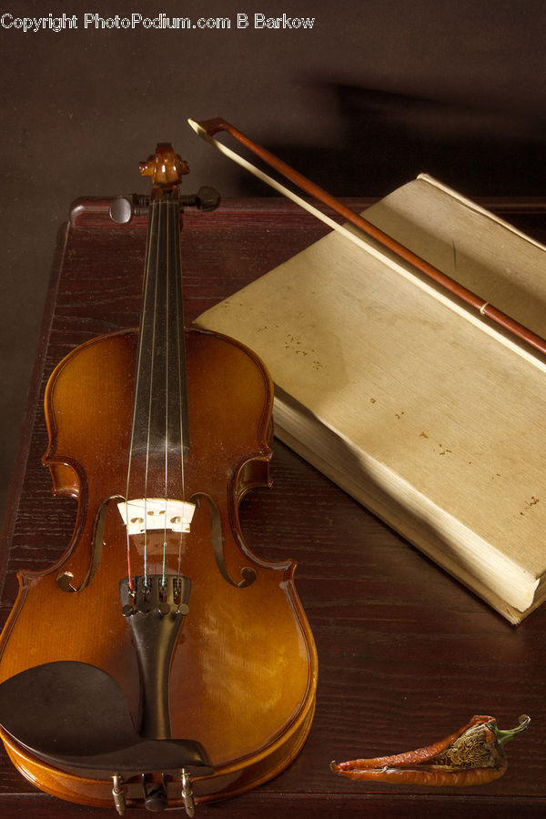 Cello, Fiddle, Musical Instrument, Violin, Chair, Furniture, Viola
