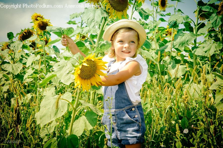 People, Person, Human, Blossom, Flora, Flower, Plant