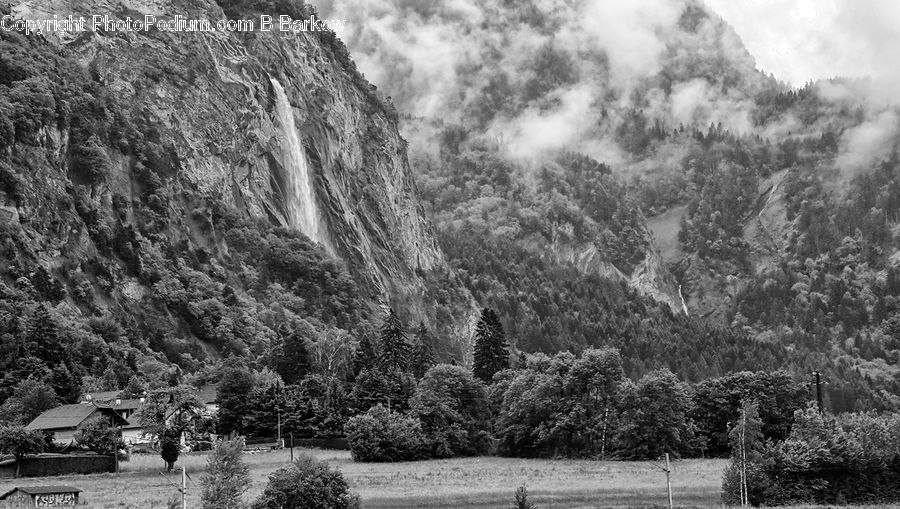 Alps, Crest, Mountain, Peak, Forest, Vegetation, Countryside