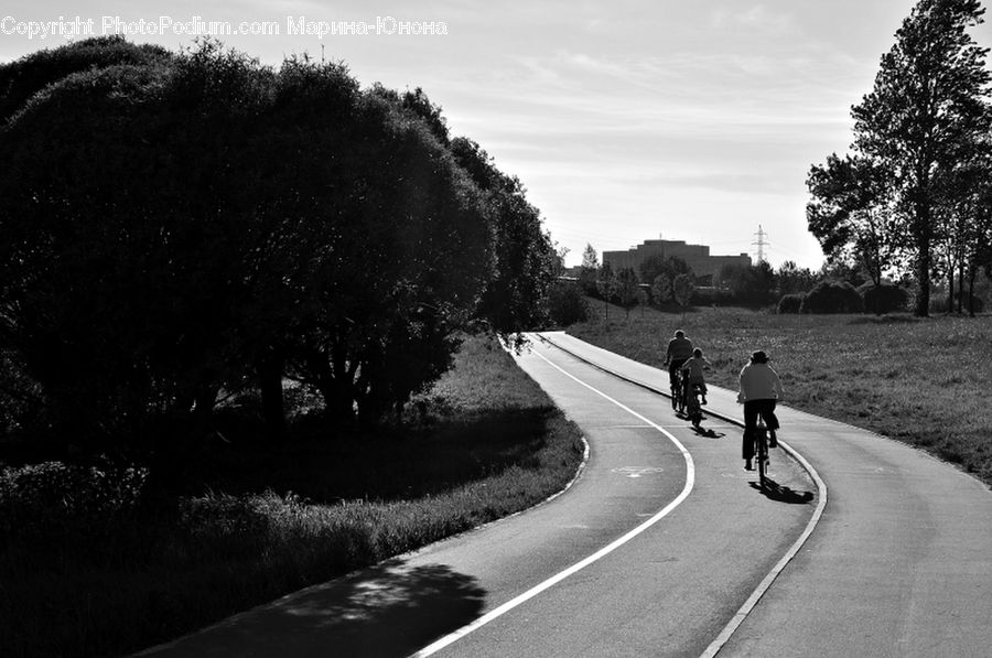 Road, Bicycle, Bike, Vehicle, Freeway, Highway, Cyclist