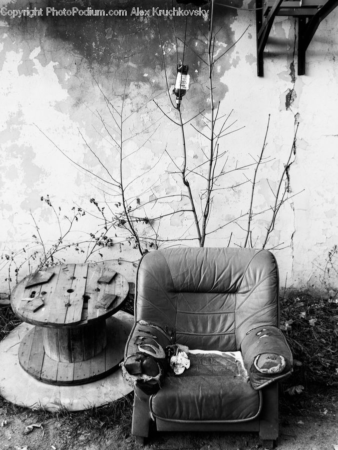 Chair, Furniture, Armchair
