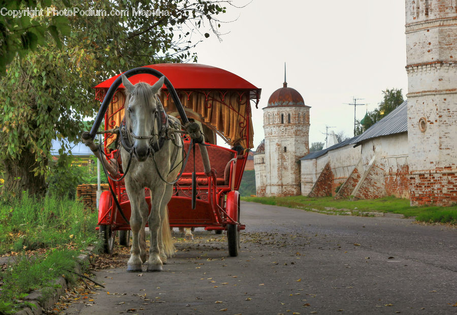 Buggy, Carriage, Horse Cart, Wagon, Vehicle, Animal, Horse