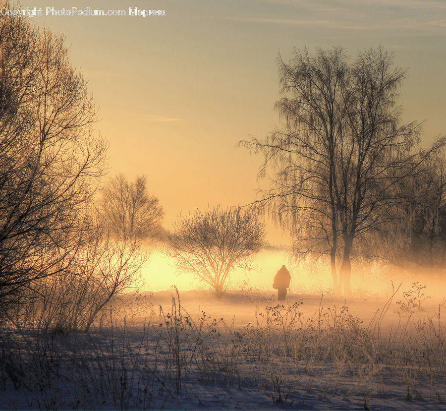 Dawn, Dusk, Sky, Sunrise, Sunset, Landscape, Nature