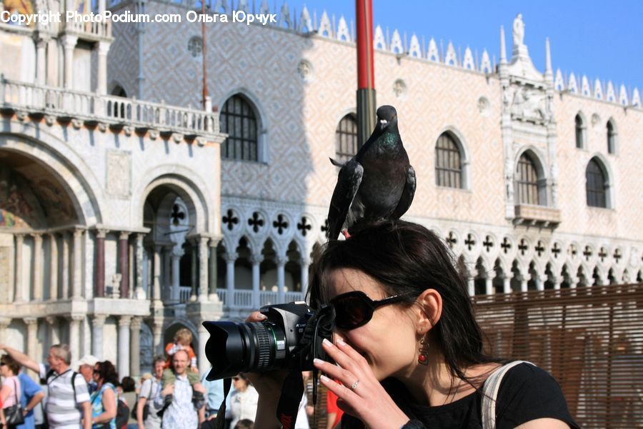 People, Person, Human, Bird, Pigeon, Tourist, Photographer