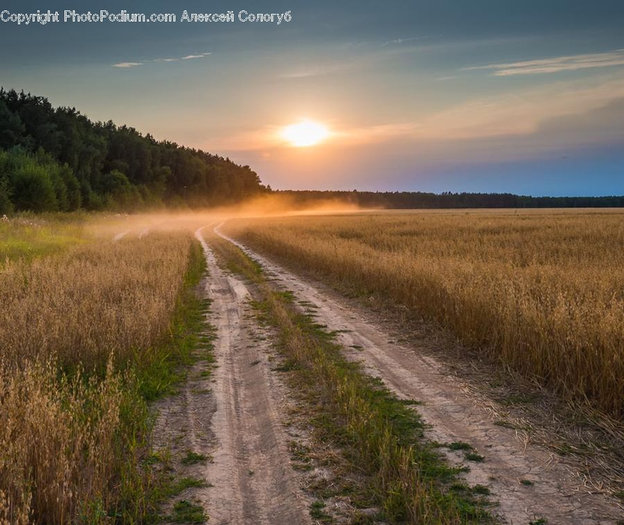 Dirt Road, Gravel, Road, Field, Grass, Grassland, Land