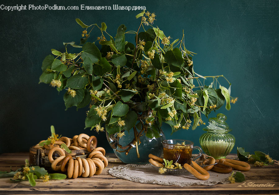 Plant, Potted Plant, Food, Moss