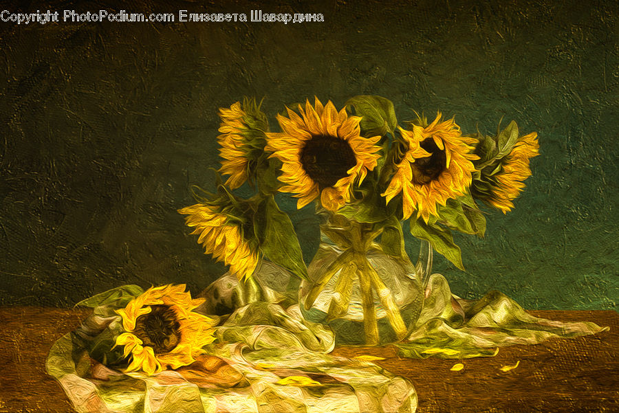 Blossom, Flora, Flower, Plant, Sunflower, Flower Arrangement, Flower Bouquet