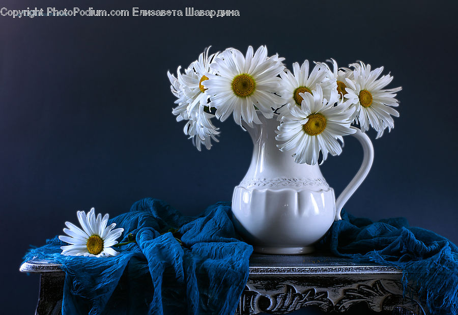 Daisies, Daisy, Flower, Plant, Jar, Porcelain, Vase