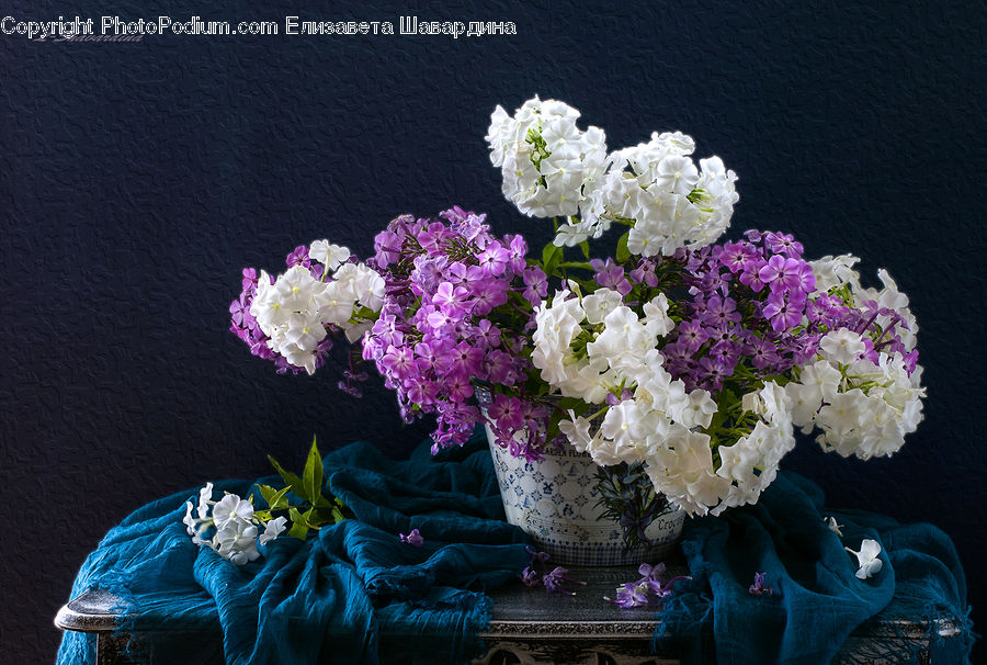 Floral Design, Flower, Flower Arrangement, Flower Bouquet, Ikebana, Blossom, Flora