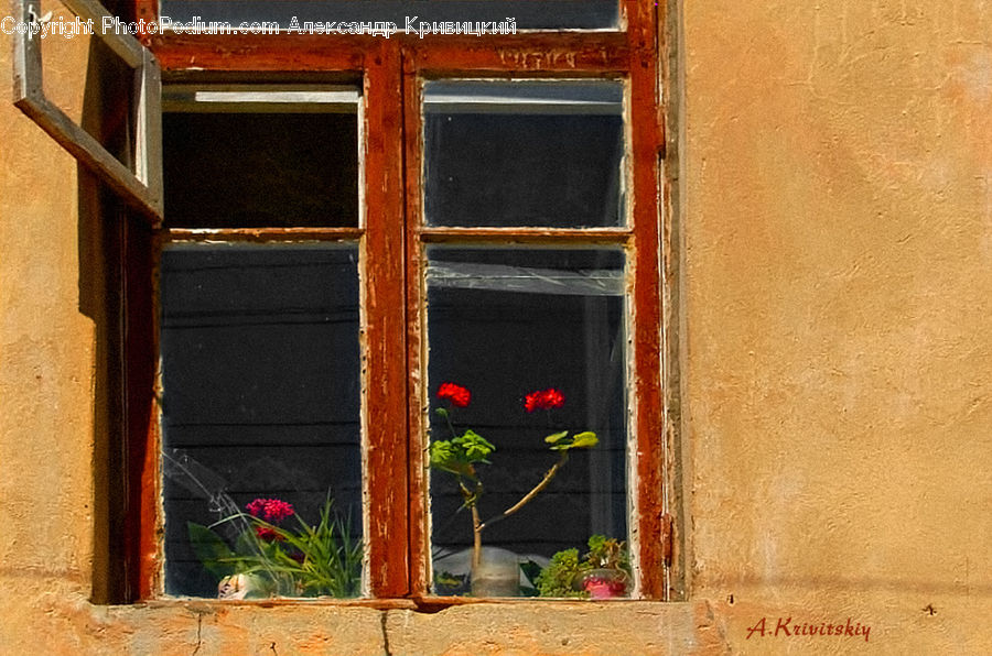 Plant, Potted Plant, Brick, Shutter, Window, Window Shade, Fence