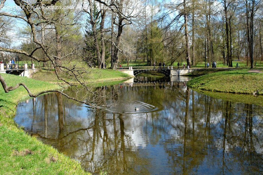 Outdoors, Pond, Water, Canal, River, Blossom, Flora