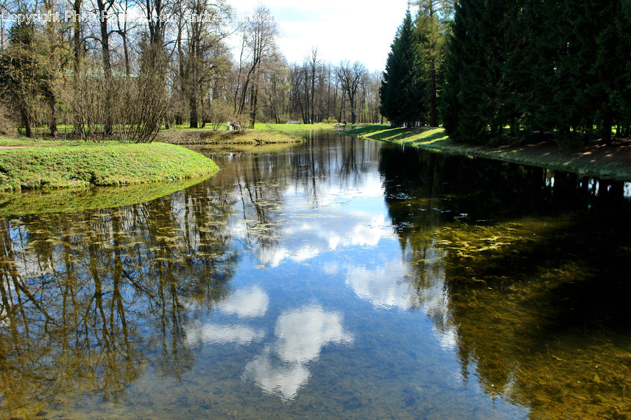 Outdoors, Pond, Water, Canal, River, Nature, Forest