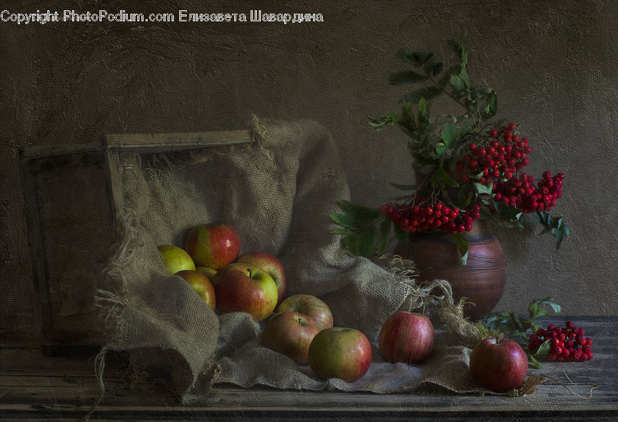 Apple, Fruit, Jar, Porcelain, Vase, Plant, Potted Plant