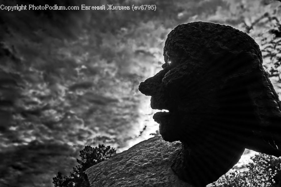 Head, Portrait, Silhouette, Outdoors, Rock, Blossom, Flora