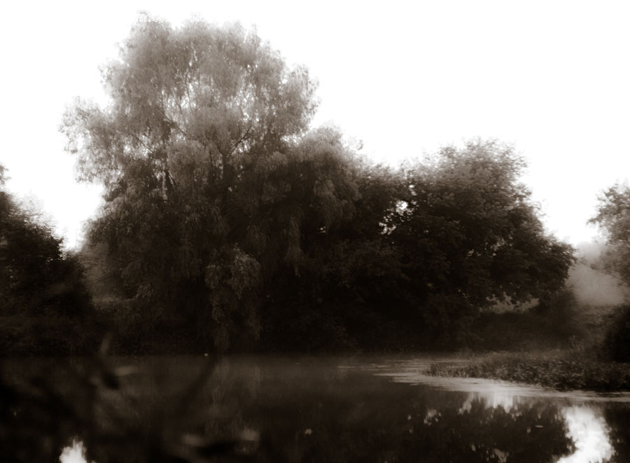 Plant, Tree, Canal, Outdoors, River, Water, Oak