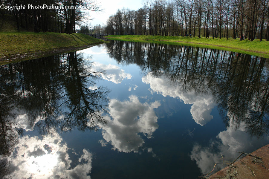 Outdoors, Pond, Water