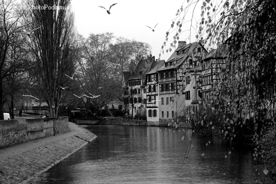 Canal, Outdoors, River, Water, Building, Downtown, Town