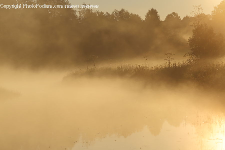 Fog, Mist, Outdoors