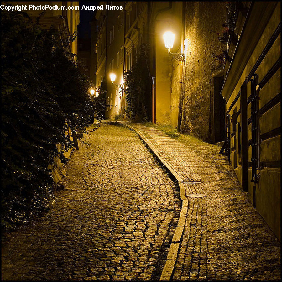 Cobblestone, Pavement, Walkway, Plant, Potted Plant, Night, Outdoors