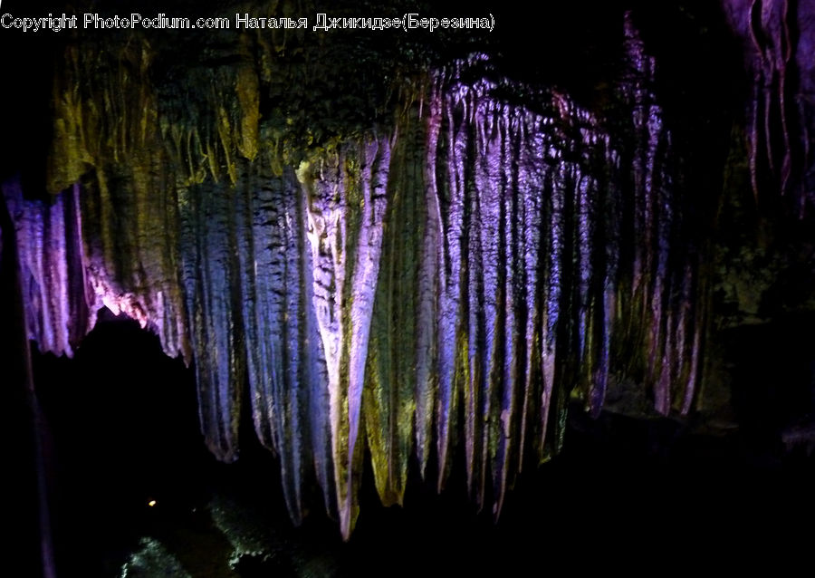 Cave, Night, Outdoors, Forest, Vegetation, Fern, Plant