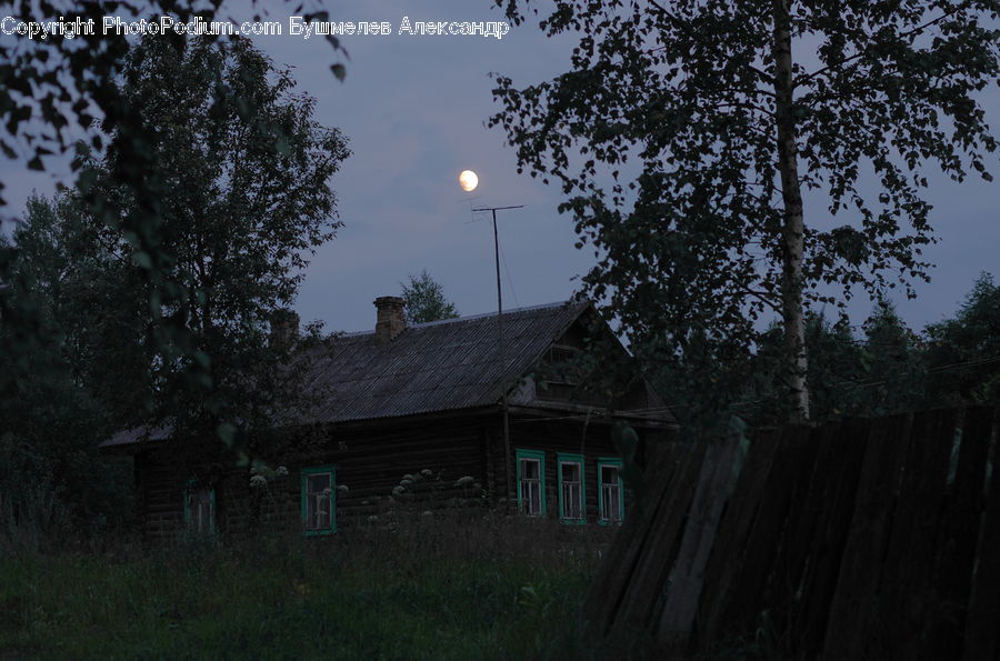 Cabin, Hut, Rural, Shack, Shelter, Building, Cottage