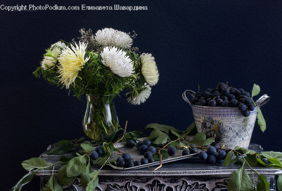 Blueberry, Fruit, Grapes, Plum, Squash, Vegetable, Floral Design