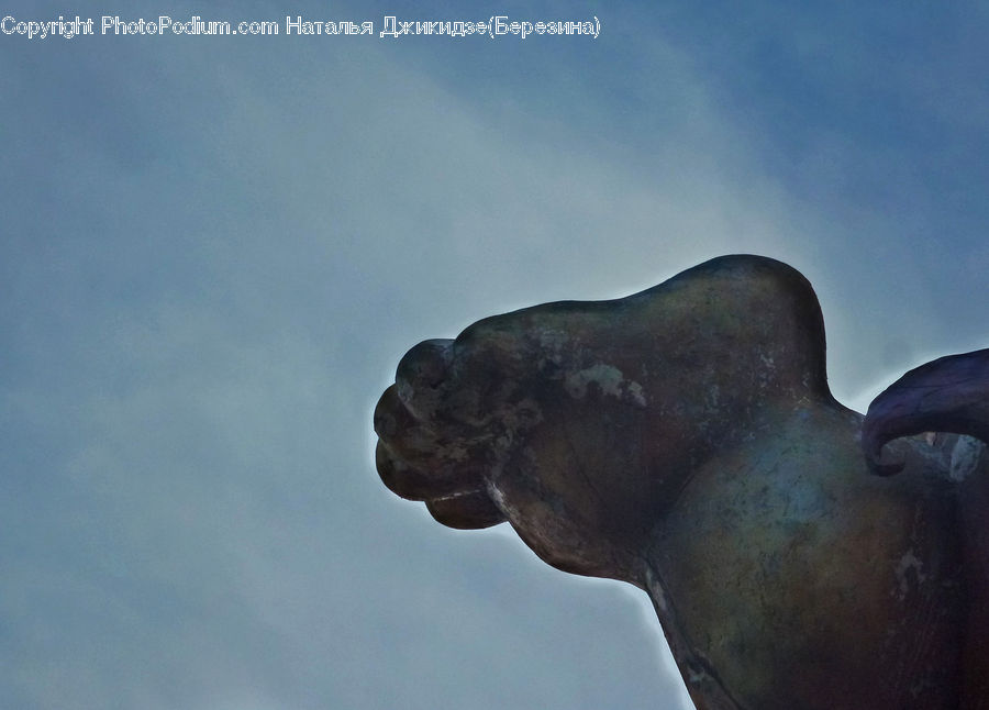 Art, Gargoyle, Statue, Head, Portrait, Modern Art, Sculpture