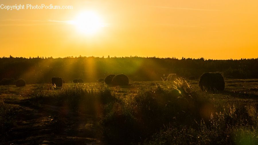 Dawn, Dusk, Sky, Sunrise, Sunset, Field, Grass