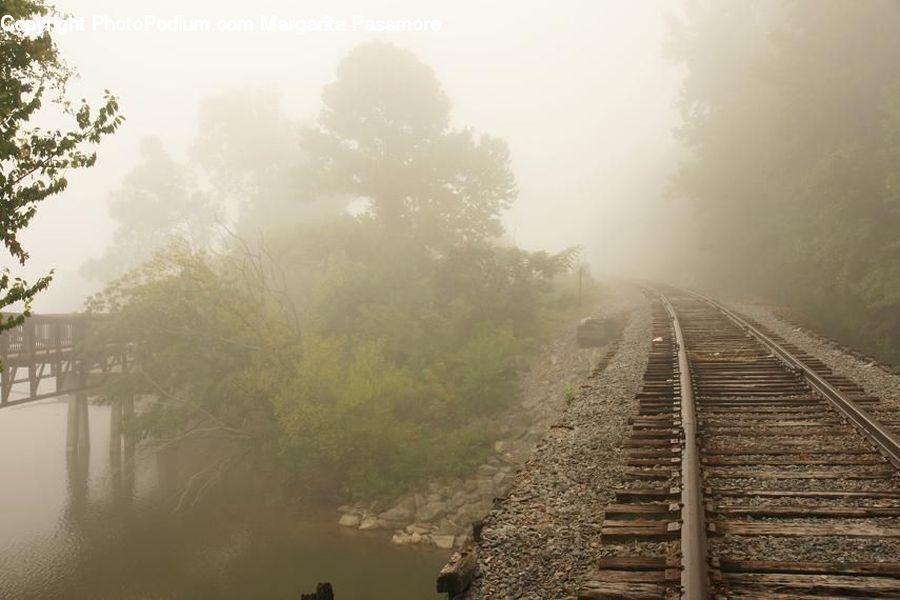 Rail, Train Track, Fog