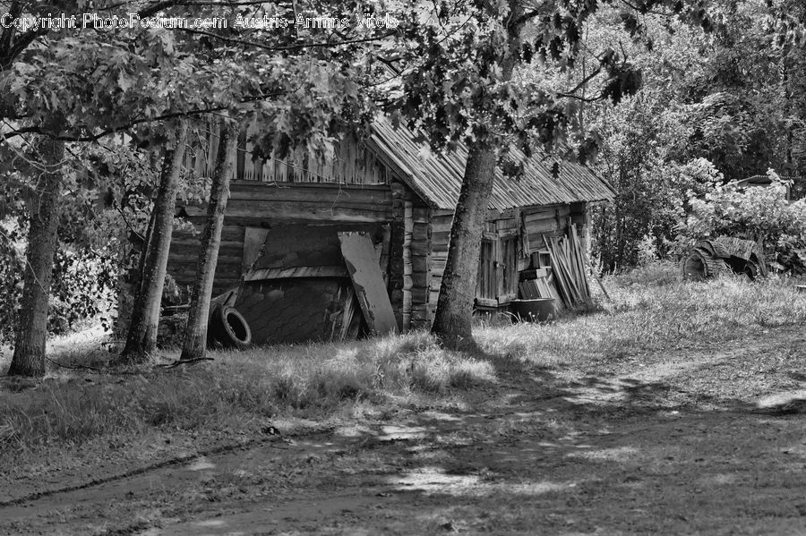 Cabin, Hut, Rural, Shack, Shelter, Building, Cottage