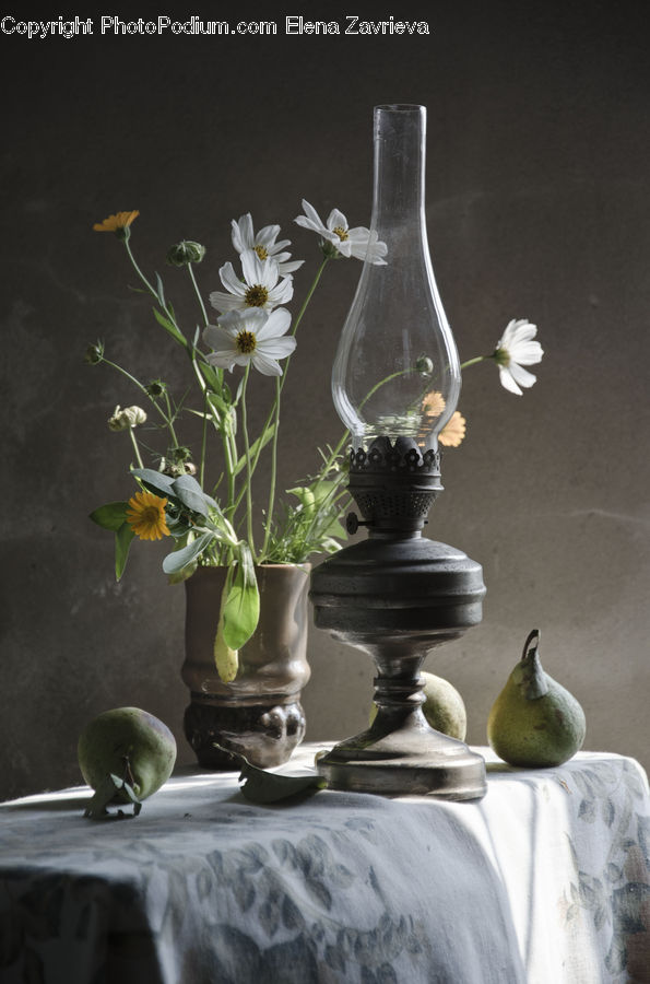 Glass, Goblet, Plant, Potted Plant, Jar, Porcelain, Vase