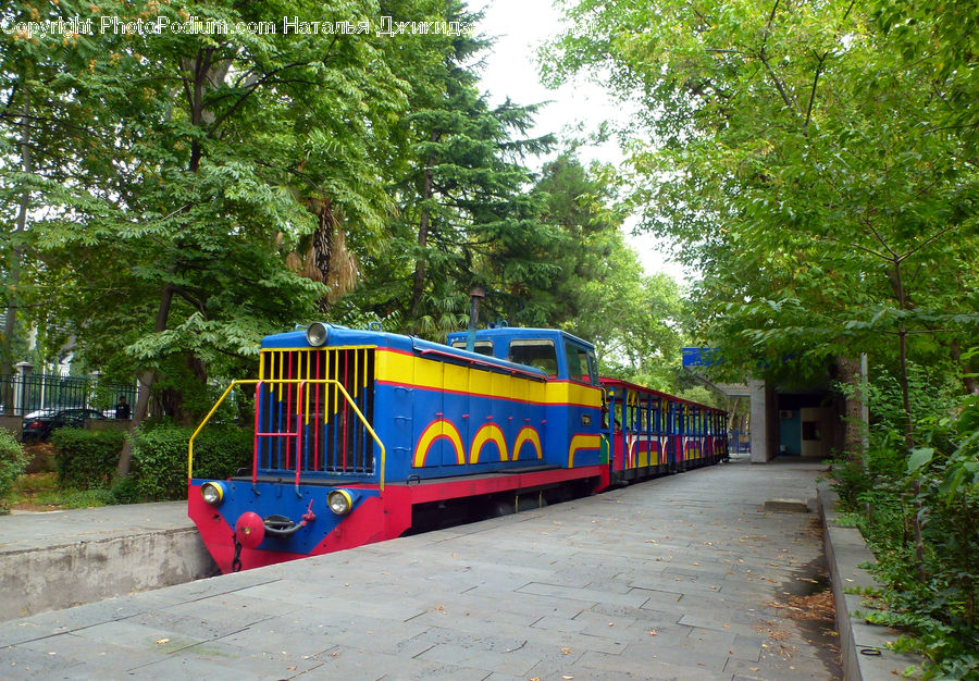 Path, Trail, Train, Vehicle, Boardwalk, Pavement, Sidewalk