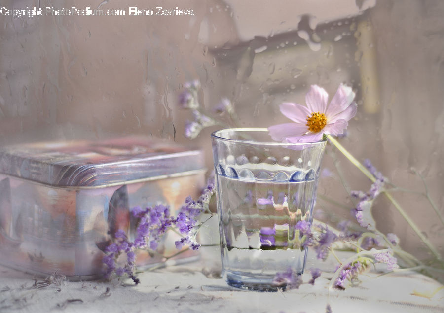 Lavender, Plant, Cup, Lab, Glass, Boiling, Cooker