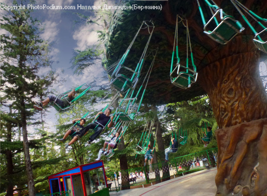 Adventure, Bungee, Rope, Amusement Park, Cabin, Tree House, Forest