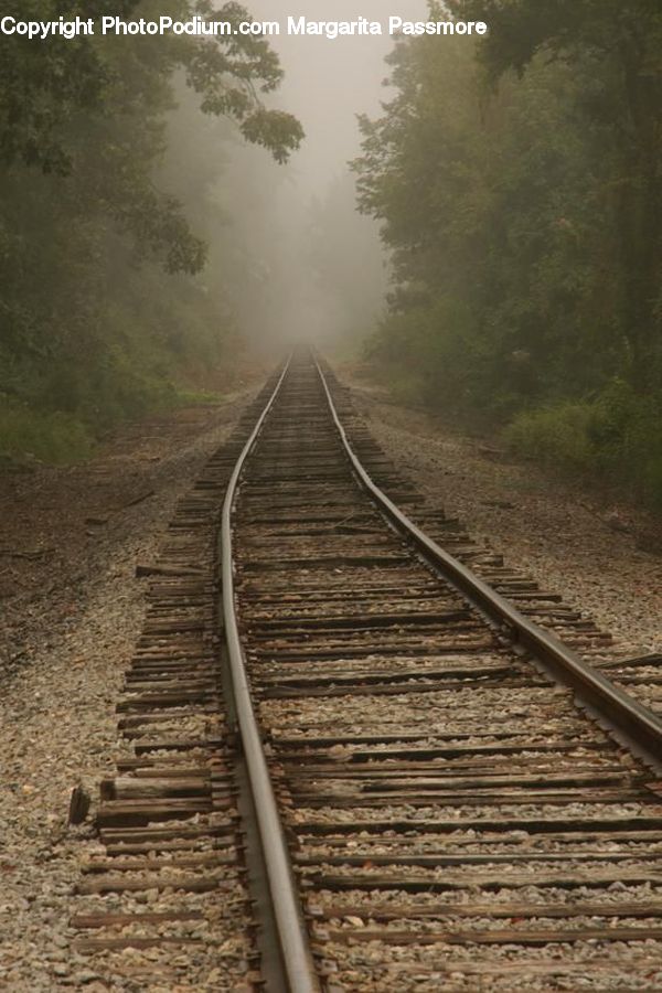 Rail, Train Track, Fog, Dirt Road, Gravel, Road, Forest